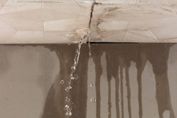 Professional Sewage Cleanup technician working in Green, OR